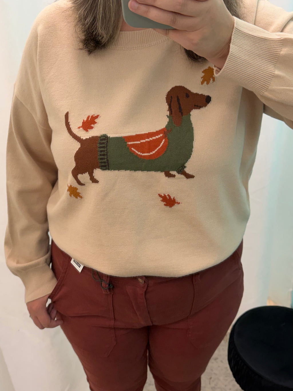 Cozy Fall Dachshund Knit Sweater
